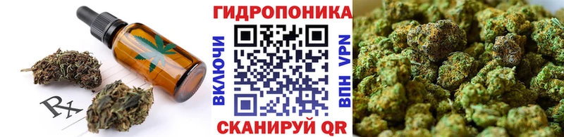 где можно купить   Шенкурск  Canna-Cookies марихуана 