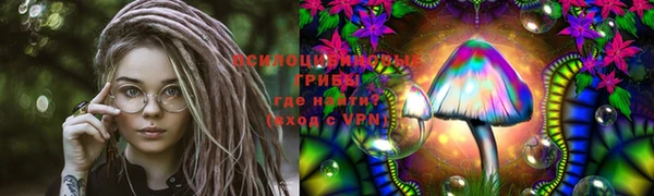 PSILOCYBIN Абаза